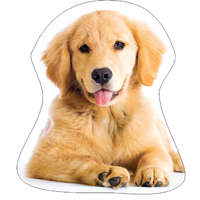 KORREKT WEB Kutyás Golden Retriver formapárna, díszpárna 35x35 cm