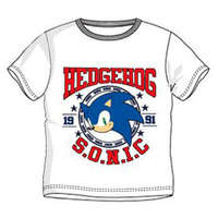 KORREKT WEB Sonic a sündisznó 1991 gyerek rövid póló, felső 6 év/116 cm