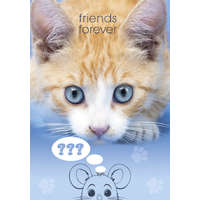 KORREKT WEB Cicás Friends Forever A/4 gumis mappa