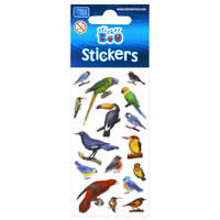 KORREKT WEB Madár Parrot matrica szett