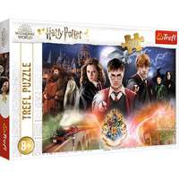 Trefl Trefl: Harry Potter titka puzzle - 300 darabos
