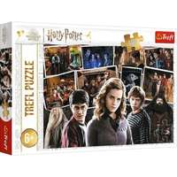 Trefl Trefl: Harry Potter és barátai puzzle - 160 darabos