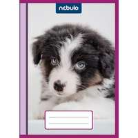 Nebulo Cuki mintás bújtatós füzetborító - A/5-ös, 10 db-os csomag