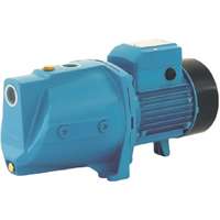 LEO Leo XJWM 60/41 Önfelszívó jet szivattyú