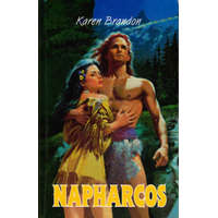 Lap-ICS Könyvkiadó Napharcos - Karen Brandon