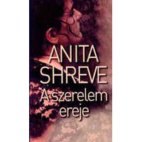 Gabo Kiadó A szerelem ereje - Anita Shreve