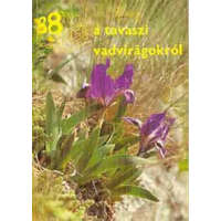 Mezőgazdasági Kiadó 88 színes oldal a tavaszi vadvirágokról - Németh Ferenc-Seregélyes Tibor