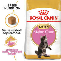 Royal Canin Royal Canin Maine Coon Kitten - Maine Coon kölyök macska száraz táp 400 g