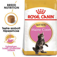 Royal Canin Royal Canin Maine Coon Kitten - Maine Coon kölyök macska száraz táp (2 x 2 kg) 4kg