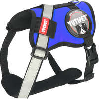 Yutipet / Montana Dog Yutipet párnázott biztonsági kutyahám (Kék; S2; Haskörméret: 53-63 cm, Nyakkörméret: 35-65 cm)