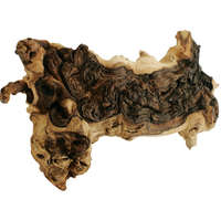 Mopani vasfa akváriumba (500-800 g)