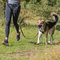 Trixie Trixie Dog Activity derékpóráz közepes és nagytestű kutyákhoz (Deréköv: 70-120 cm hosszú / 12 cm széles | Póráz: 110-150 cm hosszú / 20 mm széles)