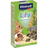 Vitakraft Vitakraft Lofty's rágcsáló jutalomfalat zabbal és komócsinnal 100g