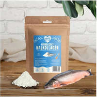 Barf Love Barf Love 100% Kollagén kutyáknak 100 g