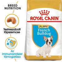 Royal Canin Royal Canin French Bulldog Junior - Francia Bulldog kölyök kutya száraz táp 1kg