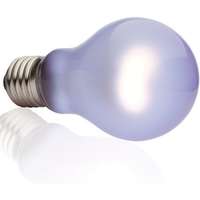 Exo Terra Exo Terra Daytime Heat Lamp terráriumi neodímium nappali izzó 60 W