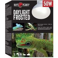 Repti Planet Repti Planet Frosted Daylight - Trópusi nappali hideg fényt sugárzó izzó (50 W)