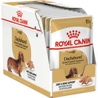  Royal Canin Dachshund Adult - Tacskó felnőtt kutya nedves táp (12 x 85 g) 1.02 kg