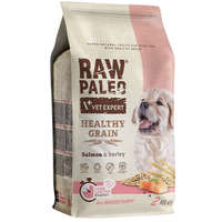  Raw Paleo Healthy Grain Puppy Salmon 2 kg