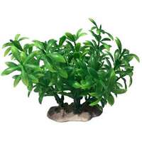 Élethű palás akváriumi műnövény zöld levélzettel (14 x 12.5 cm)