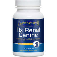 RX Vitamins RX Vitamins Renal Canine tabletta (2 x 120 db)