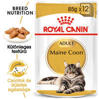 Royal Canin Royal Canin Maine Coon Adult - Maine Coon felnőtt macska nedves táp (12 x 85 g) 1.02kg