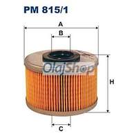 FILTRON Filtron Üzemanyagszűrő (PM 815/1) (PM815/1)