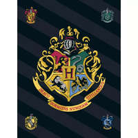 Harry Potter Harry Potter Black polár takaró 100x140cm