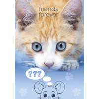 Cicás Cicás Friends Forever A/4 gumis mappa