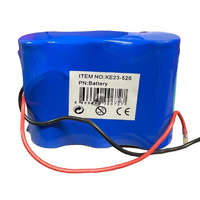  Li-ion Akkumulátor 3x4000mAh 3.2V, 10 x 8 x 3,5 cm, kék