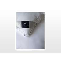 Billerbeck Billerbeck Diana félpárna 50x70 cm 680g