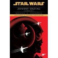 Michael A. Stackpole Michael A. Stackpole - Star Wars: Zsivány osztag - X-szárnyúak I. - Legendák - a legjobb történetek