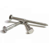 Állványcsavar DIN 571 10x70 A2