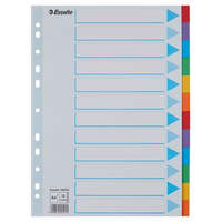 ESSELTE Regiszter, karton, A4, 12 részes, írható előlappal, ESSELTE "Standard", színes