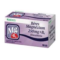  BERES MAGNEZIUM 250 MG+B6 FILMTABL. 90X