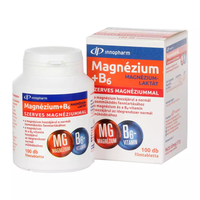  INNOPHARM MAGNESIUM+B6 FILMTABL. 100X