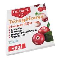 DR HERZ TŐZEGÁFONYA 500MG KAPSZULA 15X