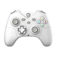 MSI DT MSI ACCY Force GC300 W White Wireless Game Controller, White