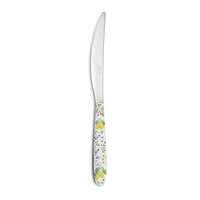 Easy Life Nuova R2S Rozsdamentes kés műanyag dekorborítású nyéllel, 22,5cm, Fleurs et Citrons