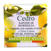 Nesti Dante Il Frantoio, Citrus szappan 100g