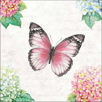Ambiente Butterfly poem papírszalvéta 33x33cm, 20db-os