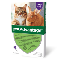 Advantage Spot-on Cat 0,8 ml (4 kg-tól) – 1 db