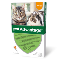 Advantage Spot-on Cat 0,4 ml (4 kg-ig) – 1 db