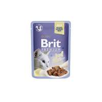  Brit Premium Cat Delicate Fillets in Jelly with Beef – 85 g