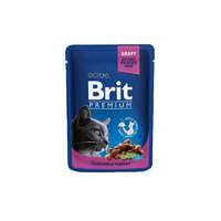  Brit Premium Cat Pouches with Chicken & Turkey – 100 g