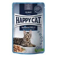 Happy Cat Pouch Szósz Culinary Pisztráng – 4×85 g