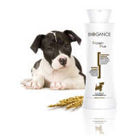  Biogance Protein Plus shampoo – 250 ml