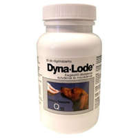  Dyna-Lode Tabletta 50 x