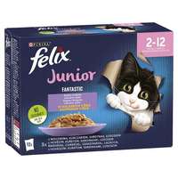 Felix Fantastic Junior Vegyes Válogatás Aszpikban 12×85 g