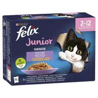  Felix Fantastic Junior Vegyes Válogatás Aszpikban 12×85 g